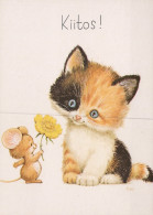 GATO GATITO Animales Vintage Tarjeta Postal CPSM Unposted #PAM144.ES - Cats
