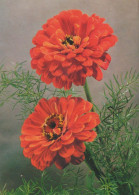 FLOWERS Vintage Ansichtskarte Postkarte CPSM #PBZ414.DE - Blumen