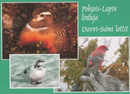 VOGEL Tier Vintage Ansichtskarte Postkarte CPSM #PBR462.DE - Vögel