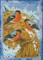 VOGEL Tier Vintage Ansichtskarte Postkarte CPSM #PBR401.DE - Vögel
