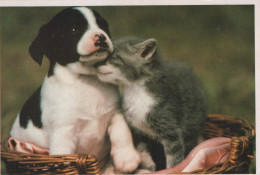 HUND Tier Vintage Ansichtskarte Postkarte CPSM #PBQ416.DE - Dogs