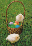 OSTERN HUHN EI Vintage Ansichtskarte Postkarte CPSM #PBP203.DE - Pasen