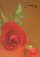 FLEURS Vintage Carte Postale CPSM #PAS246.FR - Flowers