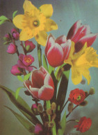 FLEURS Vintage Carte Postale CPSM #PAR103.FR - Fleurs
