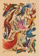 OISEAU Animaux Vintage Carte Postale CPSM #PAN330.FR - Vögel