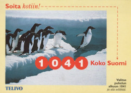 OISEAU Animaux Vintage Carte Postale CPSM #PAN145.FR - Birds