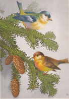OISEAU Animaux Vintage Carte Postale CPSM #PAM961.FR - Vögel