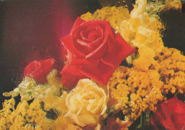 FLORES Vintage Tarjeta Postal CPSM #PBZ352.ES - Flowers