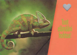 LAGARTO Animales Vintage Tarjeta Postal CPSM #PBS830.ES - Autres & Non Classés
