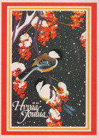 Feliz Año Navidad PÁJARO Vintage Tarjeta Postal CPSM #PBM819.ES - Nouvel An