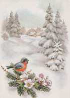 Feliz Año Navidad PÁJARO Vintage Tarjeta Postal CPSM #PBM630.ES - Nouvel An