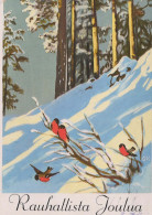 Feliz Año Navidad PÁJARO Vintage Tarjeta Postal CPSM #PBM696.ES - Nouvel An