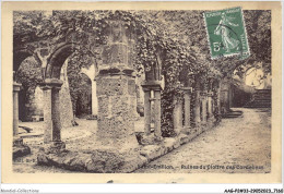 AAGP2-33-0169- SAINT-EMILION - Ruines Du Cloitre Des Cordeliers - Saint-Emilion