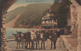 ÂNE Animaux Vintage Antique CPA Carte Postale #PAA356.FR - Donkeys