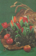 FLEURS Vintage Carte Postale CPA #PKE527.FR - Flowers