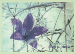FLEURS Vintage Carte Postale CPSM #PBZ775.FR - Flowers