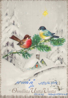 OISEAU Animaux Vintage Carte Postale CPSM #PBR400.FR - Birds