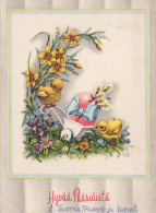 PÂQUES POULET Vintage Carte Postale CPSM #PBO951.FR - Pasen