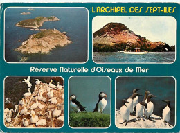 22 - Les Sept Iles - Réserve Naturelle D'Oiseaux De Mer - Multivues - Macareux Moines - Guillemots - CPM - Voir Scans Re - Other & Unclassified