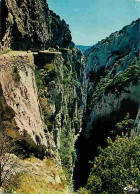 11 - Aude - Les Gorges De Galamaus - Pointe Du Vent - CPM - Voir Scans Recto-Verso - Andere & Zonder Classificatie