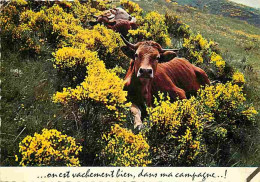 Animaux - Vaches - Carte Humoristique - Voir Timbre - CPM - Voir Scans Recto-Verso - Koeien