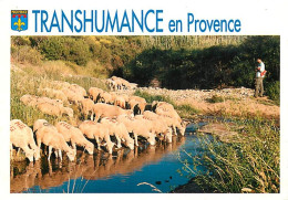 Animaux - Moutons - Provence - Transhumance - CPM - Voir Scans Recto-Verso - Andere & Zonder Classificatie
