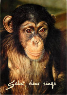 Animaux - Singes - Chimpanzé - Carte à Message - CPM - Voir Scans Recto-Verso - Monos