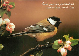 Animaux - Oiseaux - Mésange Charbonnière - Fleurs De Pommiers - Carte Neuve - CPM - Voir Scans Recto-Verso - Pájaros