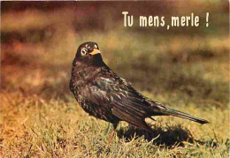 Animaux - Oiseaux - Merle - Carte Humoristique - CPM - Voir Scans Recto-Verso - Vögel