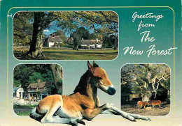 Animaux - Chevaux - Royaume-Uni - New Forest - Multivues - Voir Scans Recto Verso  - Horses
