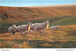 Animaux - Moutons - Whitby Moors - CPM - Voir Scans Recto-Verso - Andere & Zonder Classificatie