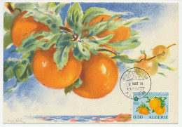 Maximum Card Algeria 1970 Orange - Obst & Früchte