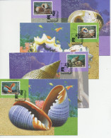 Maximum Card 4 X Thailand 1997 Mollucs - Autres & Non Classés