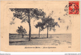 AAXP4-33-0254 - ANDERNOS-LES-BAINS - Aux Quinconces - Andernos-les-Bains