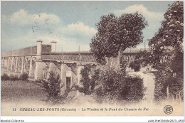 AAXP1-33-0074 - CUBZAC-LES-PONTS - Le Viaduc Et Le Pont Du Chemin De Fer - Cubzac-les-Ponts