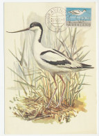 Maximum Card Netherlands 1961 Bird - Pied Avocet - Other & Unclassified