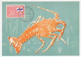 Maximum Card Netherlands Antilles 1965 Lobster - Meereswelt