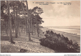 AAXP5-33-0433 - ARCACHON - CôTe D'Argent - La CôTe Du Moulleau Aux Abatilles - Arcachon