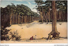 AAXP5-33-0414 - ARCACHON - Dans Les Dunes De La Forêt - Arcachon
