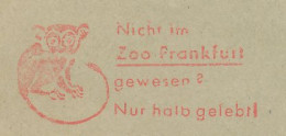 Meter Cut Germany 1978 Tarsier - Zoo Frankfurt - Otros & Sin Clasificación