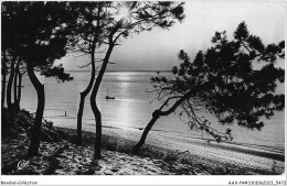 AAXP4-33-0354 - ARCACHON -Coucher De Soleil - Arcachon