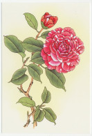 Postal Stationery China 2003 Flower - Sonstige & Ohne Zuordnung