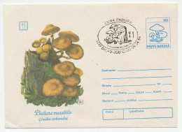 Postal Stationery Romania 1994 Mushroom - Hongos
