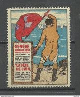 Schweiz Switzerland Vignette Spectacle Patriotique La F√™te De Juin, Gen√®ve 1914 * - Other & Unclassified