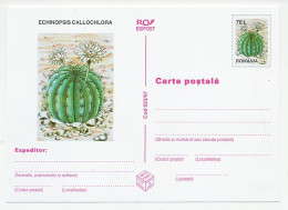 Postal Stationery Romania 1997 Cactus - Other & Unclassified