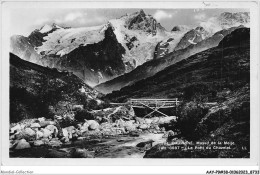 AAYP9-38-0825 - Massif De La Meije - Le Pont Du Chazelet - Sonstige & Ohne Zuordnung