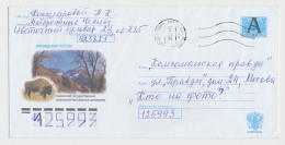 Postal Stationery Rossija 1999 European Bison - Other & Unclassified