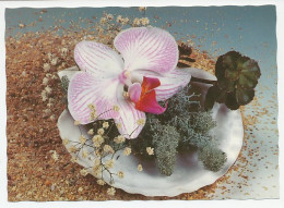 Postal Stationery Hungary Flower - Orchid - Autres & Non Classés