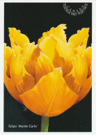 Postal Stationery Canada 2002 Flower - Tulip - Monte Carlo - Altri & Non Classificati