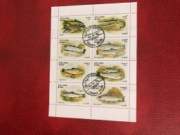 OMAN UAE 1972  Bloc 8v Used  Mi Pez Fish Peixe Fisch Pesce Poisson UNITED ARAB EMIRATES - Vissen